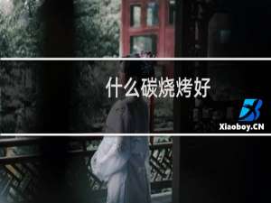 什么碳烧烤好