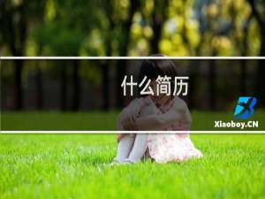 什么简历