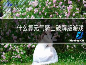 什么算元气骑士破解版游戏