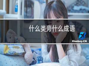 什么类旁什么成语