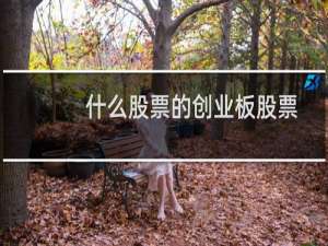 什么股票的创业板股票