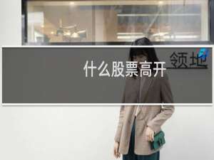 什么股票高开
