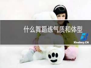 什么舞蹈练气质和体型