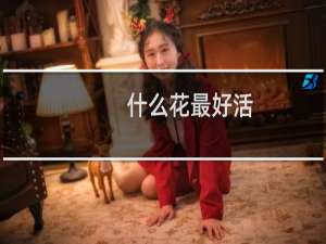 什么花最好活