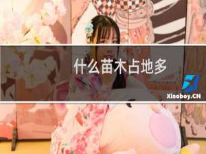 什么苗木占地多
