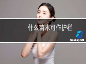 什么苗木可作护栏