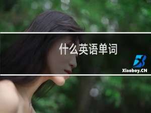 什么英语单词