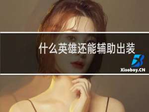 什么英雄还能辅助出装
