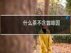 什么茶不含咖啡因