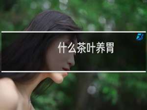 什么茶叶养胃
