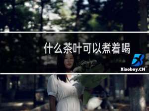 什么茶叶可以煮着喝