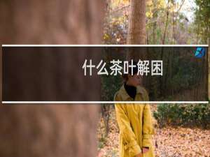 什么茶叶解困