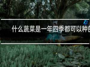 什么蔬菜是一年四季都可以种的