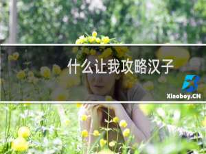 什么让我攻略汉子