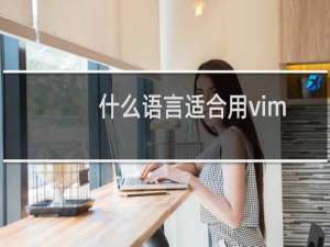 什么语言适合用vim