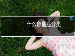 什么象星座分类