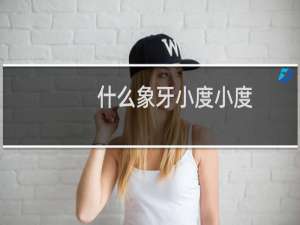 什么象牙小度小度