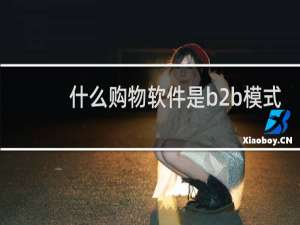 什么购物软件是b2b模式