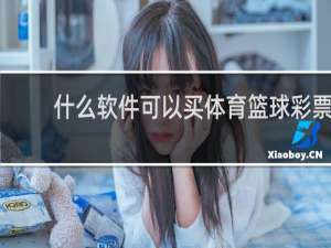 什么软件可以买体育篮球彩票