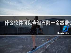 什么软件可以查询五险一金缴费记录