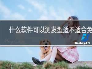 什么软件可以测发型适不适合免费