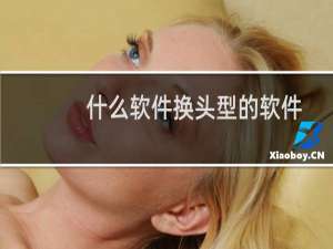 什么软件换头型的软件