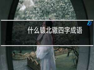 什么辕北辙四字成语