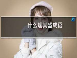 什么逢其盛成语