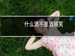 什么酒不是酒搞笑