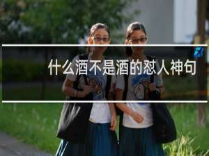 什么酒不是酒的怼人神句