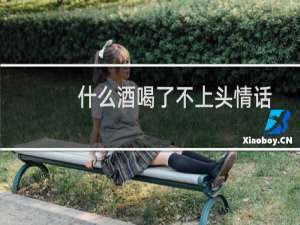 什么酒喝了不上头情话
