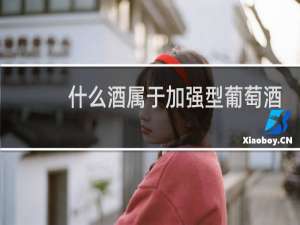 什么酒属于加强型葡萄酒