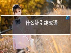什么针引线成语