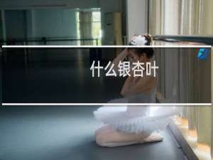 什么银杏叶