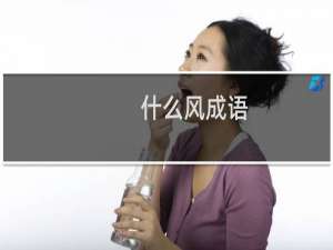 什么风成语