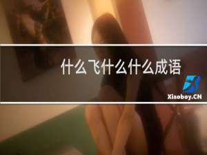 什么飞什么什么成语