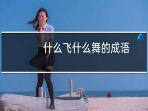 什么飞什么舞的成语