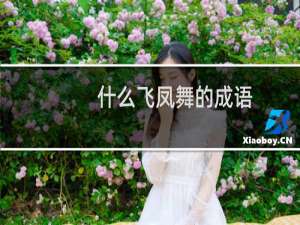 什么飞凤舞的成语