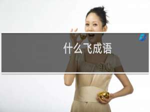 什么飞成语