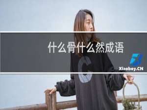 什么骨什么然成语