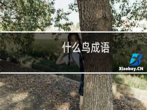 什么鸟成语