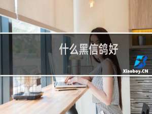 什么黑信鸽好