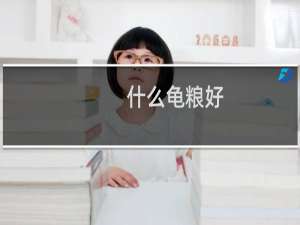 什么龟粮好