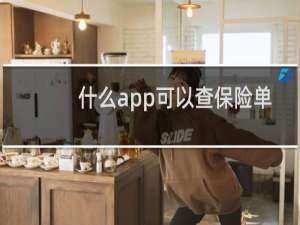 什么app可以查保险单