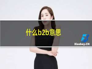 什么b2b意思