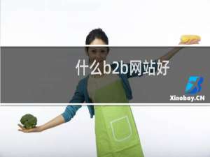 什么b2b网站好