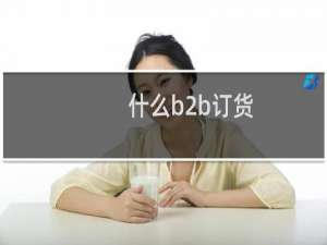 什么b2b订货