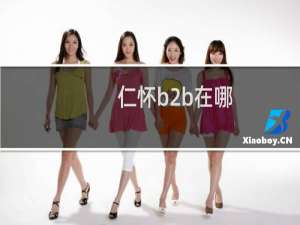 仁怀b2b在哪