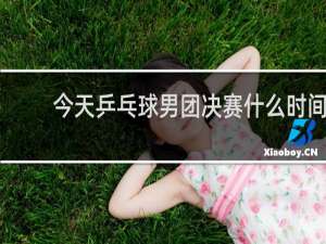 今天乒乓球男团决赛什么时间