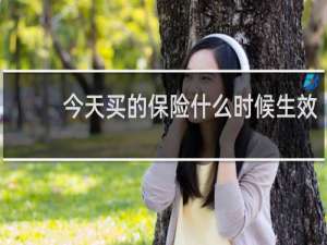 今天买的保险什么时候生效